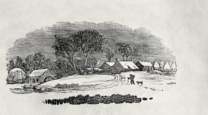 Endpiece, Late 18th or Early 19th Century by Thomas Bewick